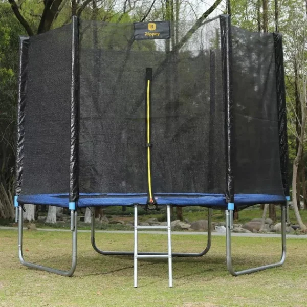 Батут RIPPEY 10FT (312 см) з Драбинкою і Захисною Сіткою - Безпечні Розваги для Дітей - Зображення 2