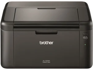 Принтер для друку вдома та офісі Brother HL-1222WE (DR1090)